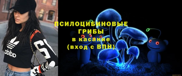 гидра Алексин