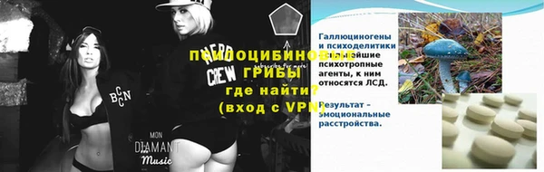 ГАЛЛЮЦИНОГЕННЫЕ ГРИБЫ Россошь
