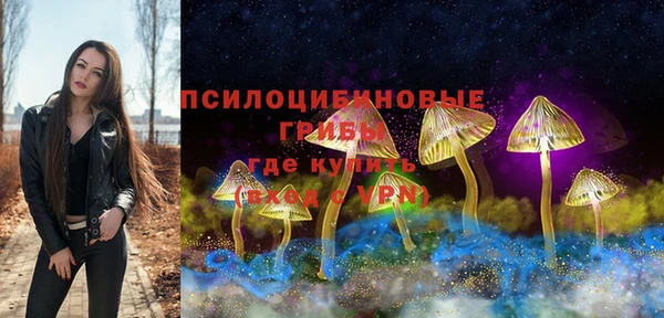 дживик Алексеевка