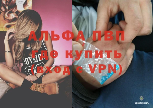 гидра Алексин