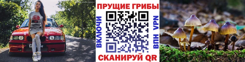где купить   дарк нет официальный сайт  Галлюциногенные грибы ЛСД  Козловка 